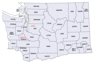 Washington-counties-map
