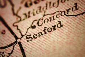 Seaford, Delaware on 1880's map. Selective focus and Canon EOS 5D Mark II with MP-E 65mm macro lens.