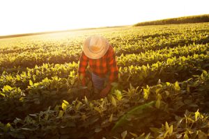 farmhand